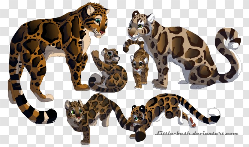 Clouded Leopard Pumas Tiger Felidae - Puma Transparent PNG