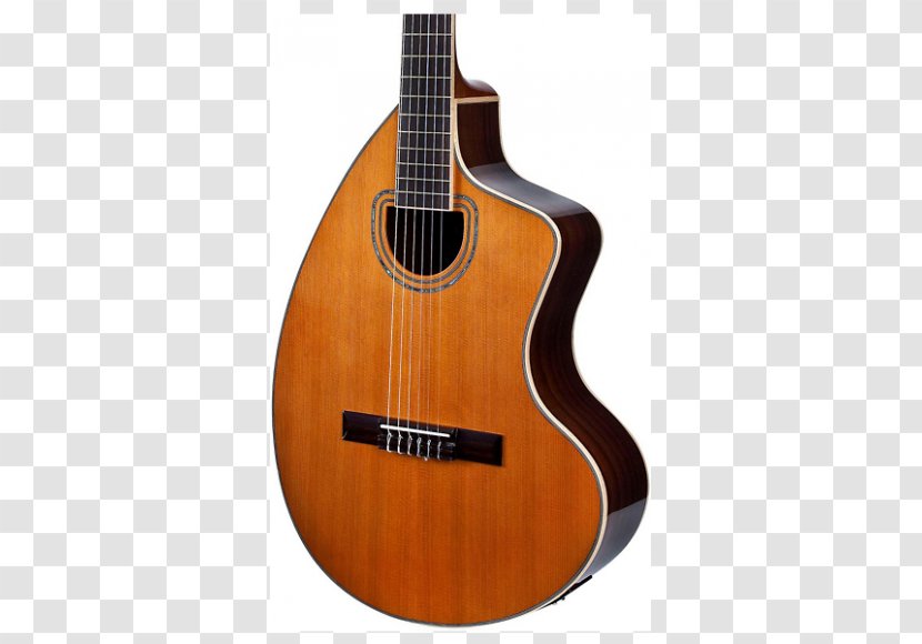 Takamine Guitars G Series GD30CE Acoustic Electric Dreadnought Twelve-string Guitar Cutaway - Flower Transparent PNG