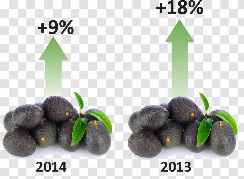 Market Superfood Fruit - Food - Hass Avocado Transparent PNG