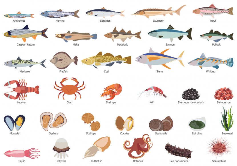 Breakfast Fish Seafood Health Food Eating - Diagram - SALMON Transparent PNG
