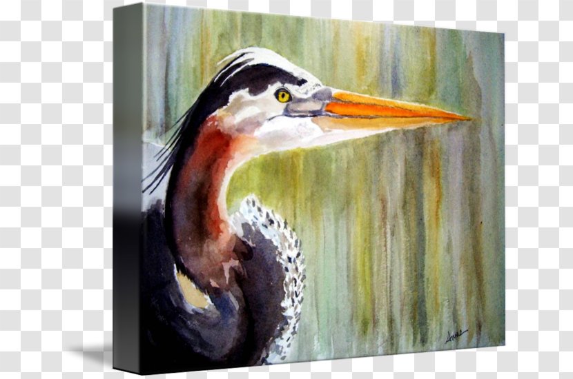 Watercolor Painting Beak Bird Pelecaniformes - Paint Transparent PNG