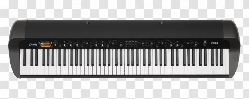 Korg SV-1 88 73 Keyboard Stage Piano Musical Instruments - Flower Transparent PNG