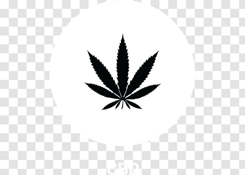 Medical Cannabis Hemp Hash Oil Sativa - Leaf - Ciroc Vodka Transparent PNG