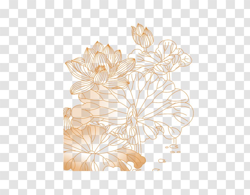 Petal Floral Design Flower Pattern - Lotus Transparent PNG