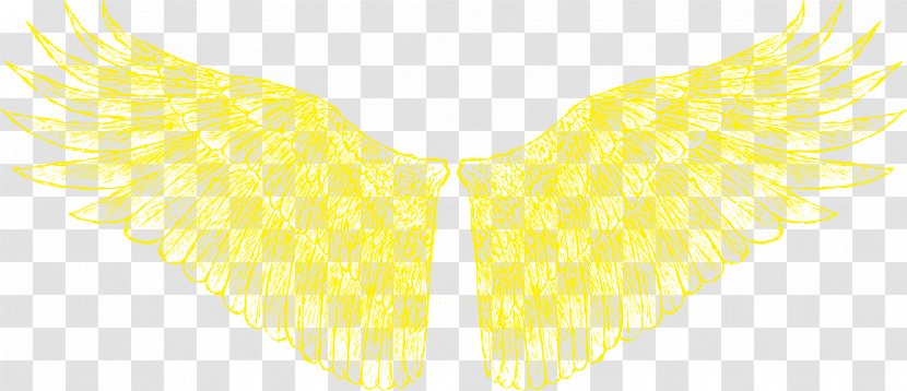 Yellow Neck Pattern - Moths And Butterflies - Golden Wings Transparent PNG