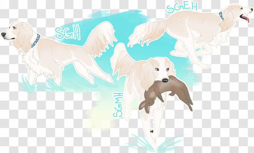 Dog Breed Saluki Whippet Retriever Sporting Group - Companion - Crossbreed Transparent PNG