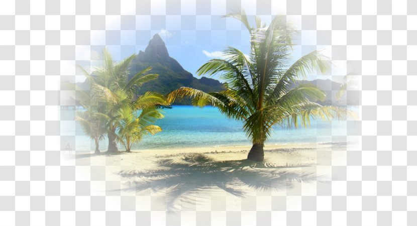 Desktop Wallpaper Blog Vacation - Beach - Caribbean Transparent PNG
