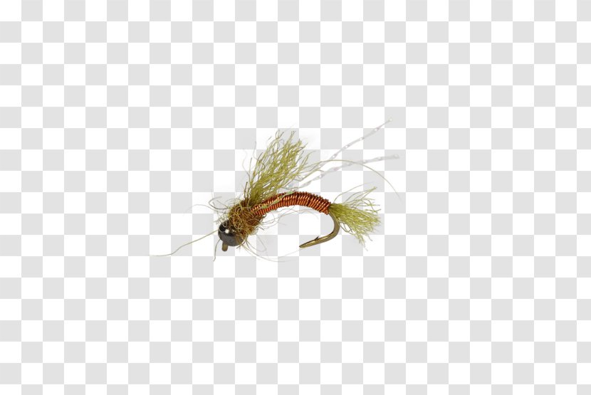 Artificial Fly Fishing Nymph Bait - Bead - Flying Transparent PNG