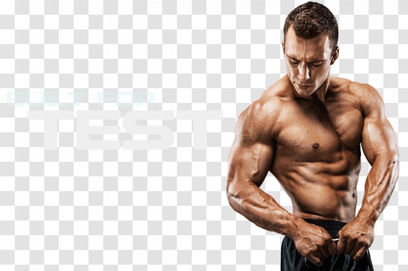 Dietary Supplement Muscle Nutrition Testosterone Bodybuilding - Frame Transparent PNG