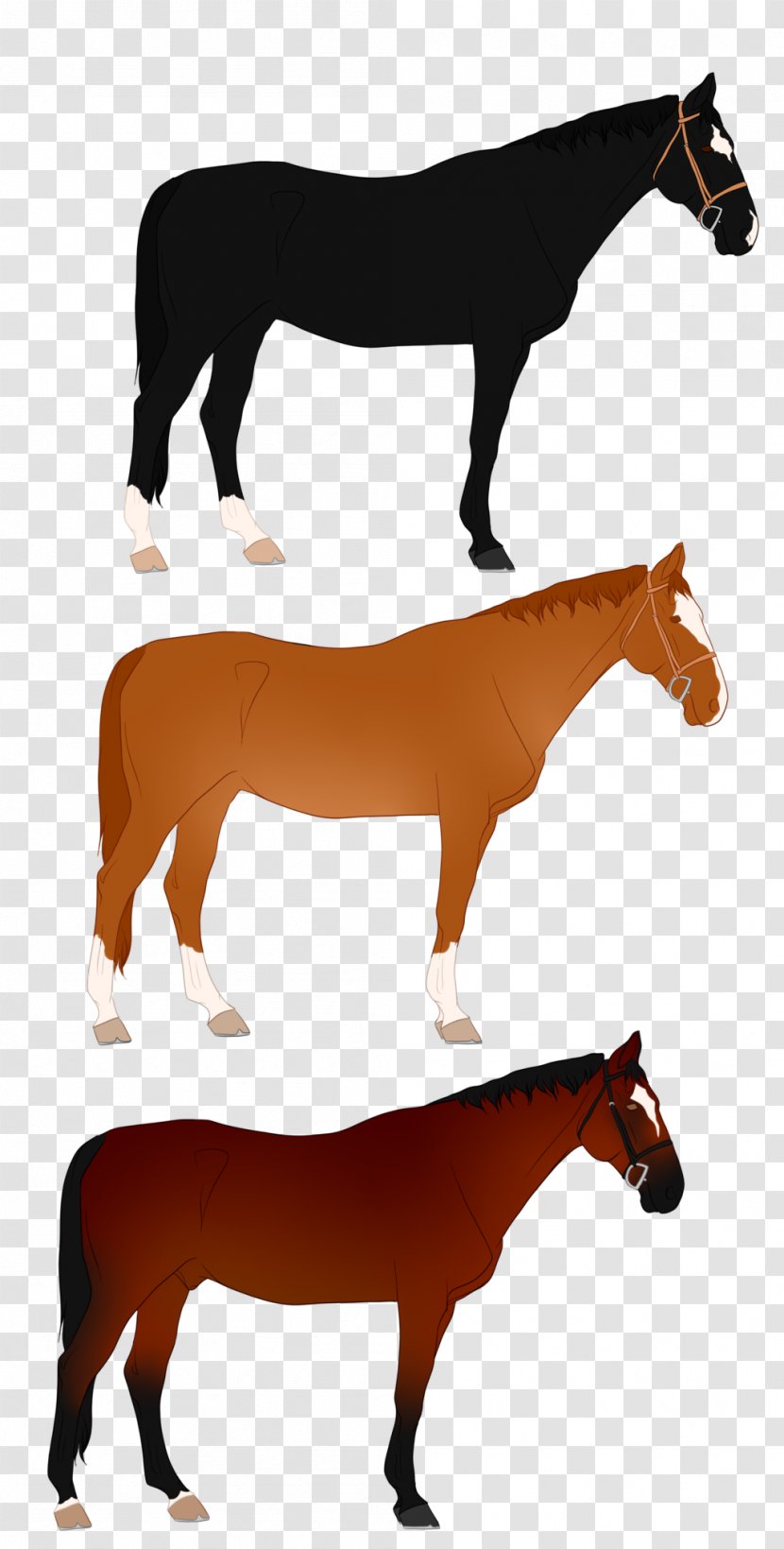 Mustang Pony Drawing Child Image - Elk Ridge Transparent PNG