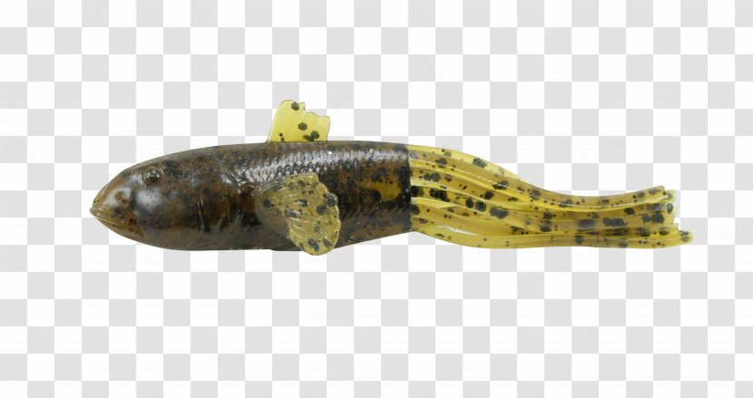 Fishing Baits & Lures Goby Tackle Reptile - Tackledirect - 3d Computer Graphics Transparent PNG