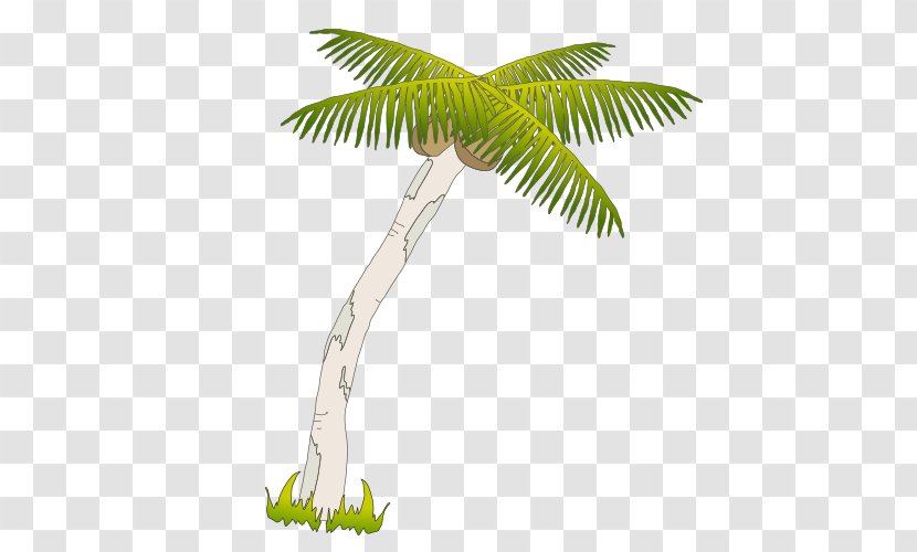 Arecaceae Coconut Drawing Tree - Cartoon - Hand-painted Picture Transparent PNG
