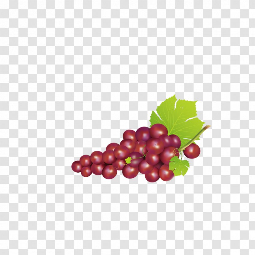 Grape Icon - Grapevine Family - A Bunch Of Grapes Transparent PNG