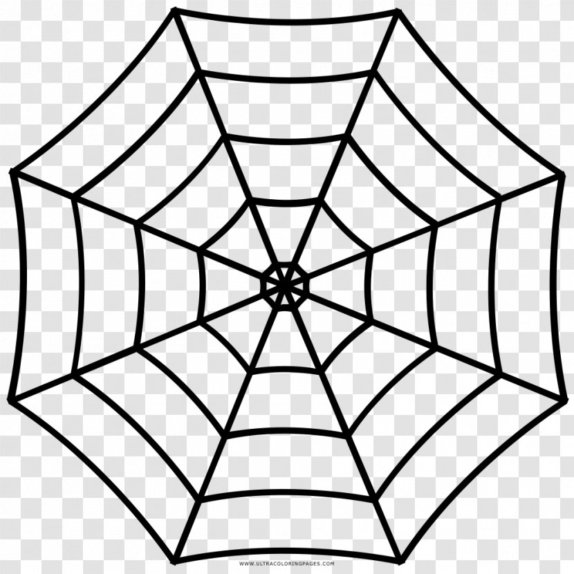 Spider Web Clip Art - Black Transparent PNG