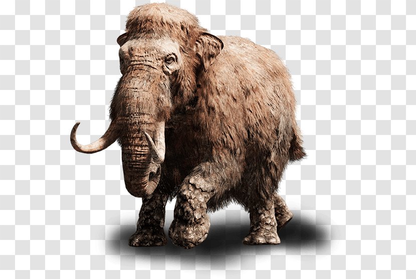 Far Cry Primal Instincts 3 PlayStation 4 Woolly Mammoth - Terrestrial Animal Transparent PNG