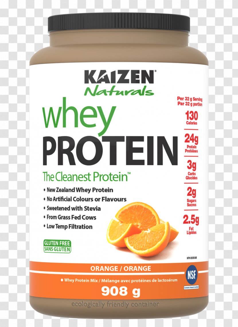 Dietary Supplement Whey Protein Isolate Bodybuilding - Food - Orange Powder Transparent PNG