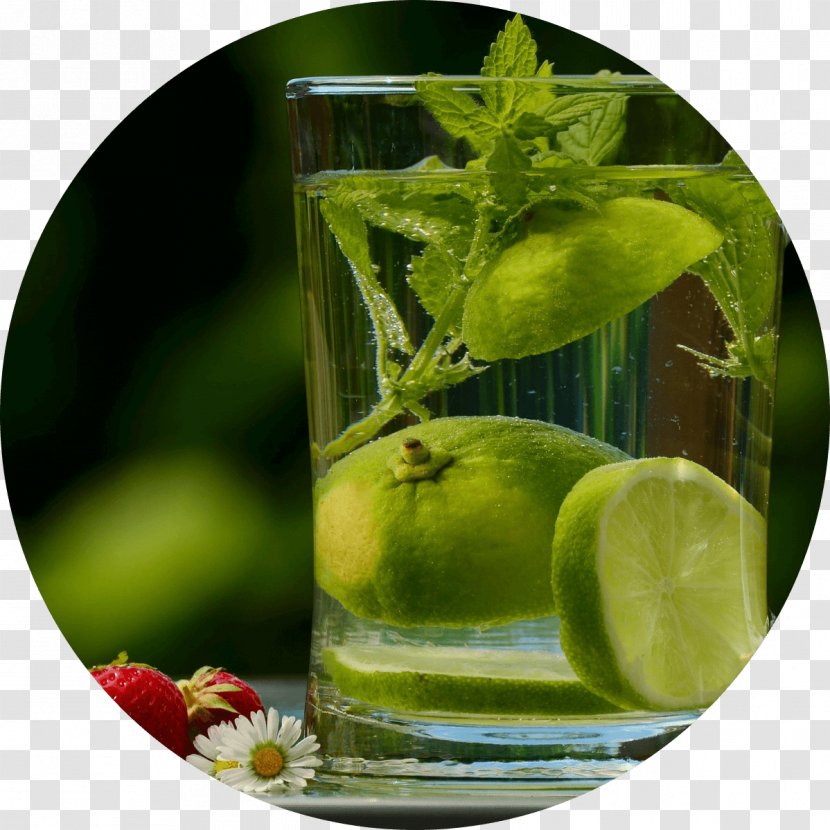 Health Detoxification Dietary Supplement Raw Foodism Heide Spa Hotel & Resort - Mojito Transparent PNG