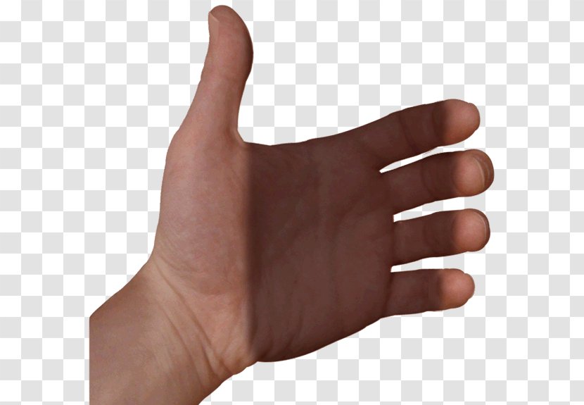 Thumb Hand Model Nail Glove Transparent PNG