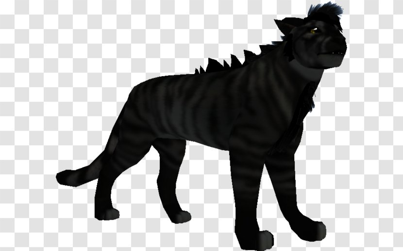 Tabby Cat Tiger Dog Breed Felidae - Puma Transparent PNG