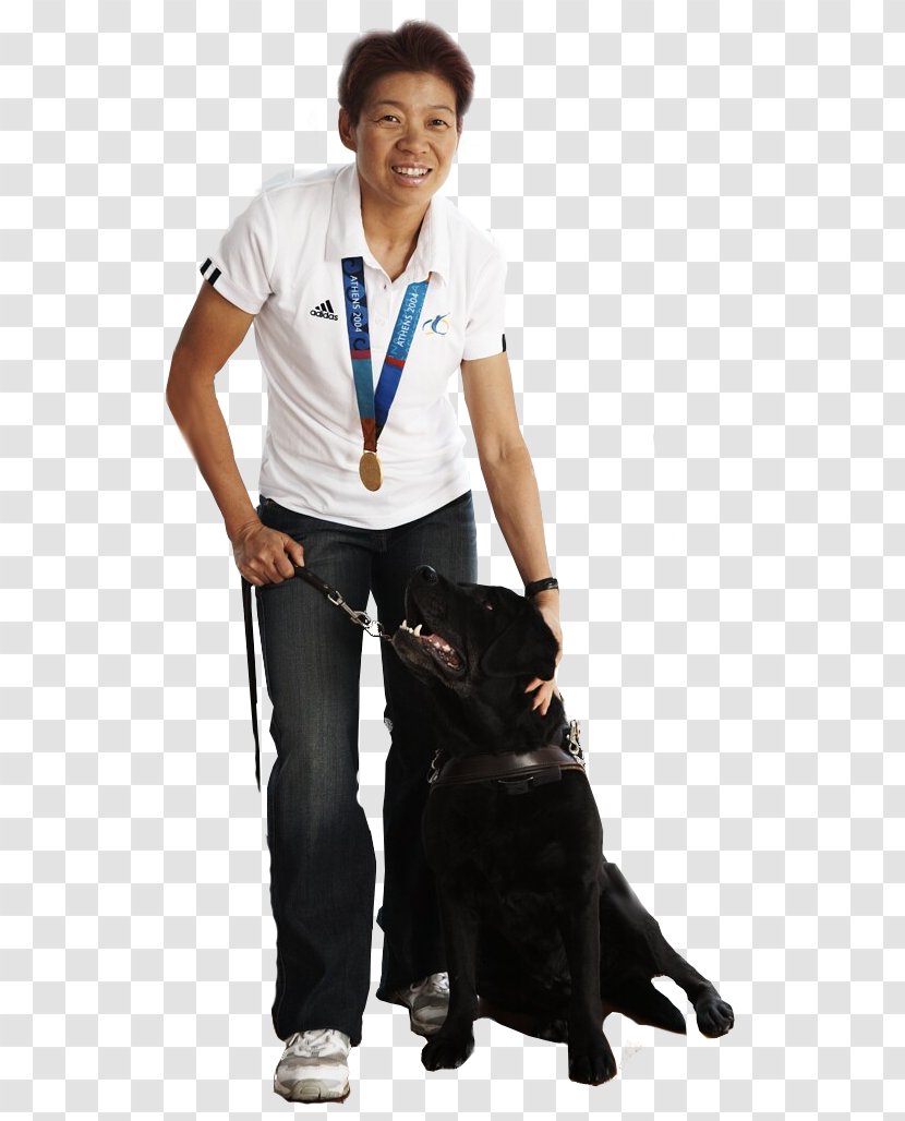 Dog Lindy Hou Paralympic Games 2014 Winter Paralympics Leash - World Championship Transparent PNG