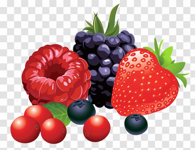 Berry Fruit Clip Art - Vegetable - Forest Fruits Vector Clipart Image Transparent PNG