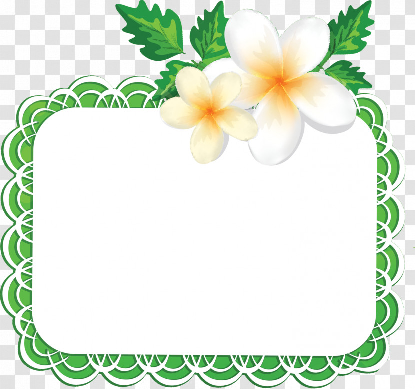 Flos Plumeriae Flower Frame Floral Frame Transparent PNG