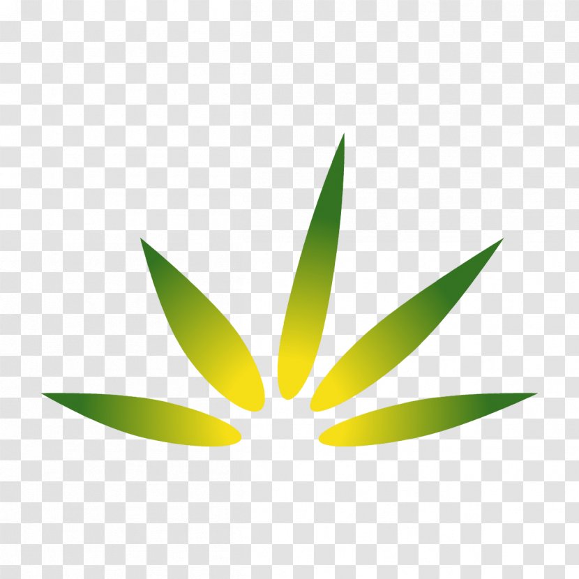 Medical Cannabis Smoking Industry Sativa - Logo Transparent PNG