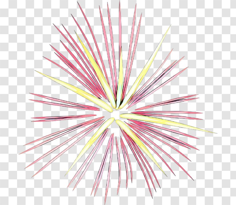 Fireworks Cartoon - Pink - Plant Transparent PNG