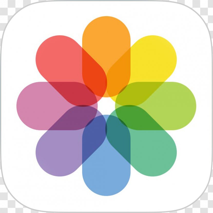 IPhone 4 5 Drop7 IOS 7 - Flower - Apps Transparent PNG