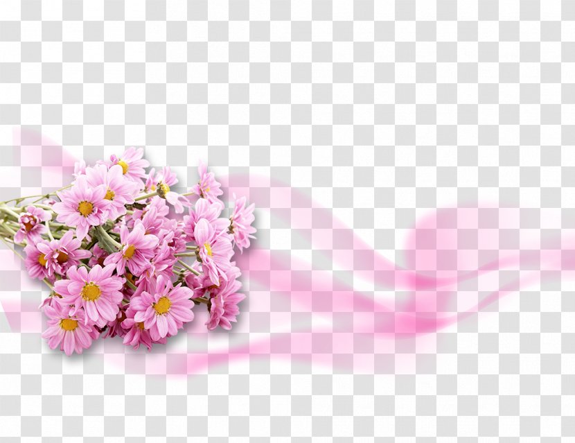 Flower Pink Chrysanthemum Wallpaper - Cut Flowers - Gerbera PSD Material Transparent PNG