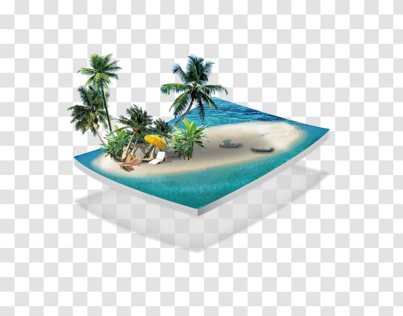 Qiao Island Creativity Shandong Airlines - Photography - Seaside Coconut Trees Transparent PNG