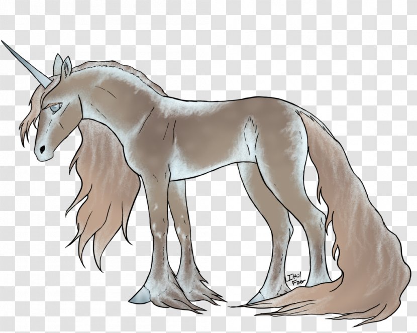 Mustang Foal Unicorn Pack Animal Freikörperkultur - Horse Transparent PNG