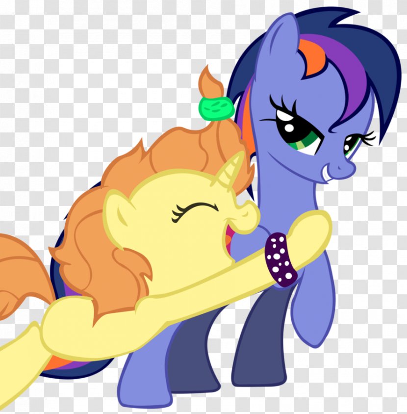 Cat Twilight Sparkle Rainbow Dash Pony Applejack Transparent PNG