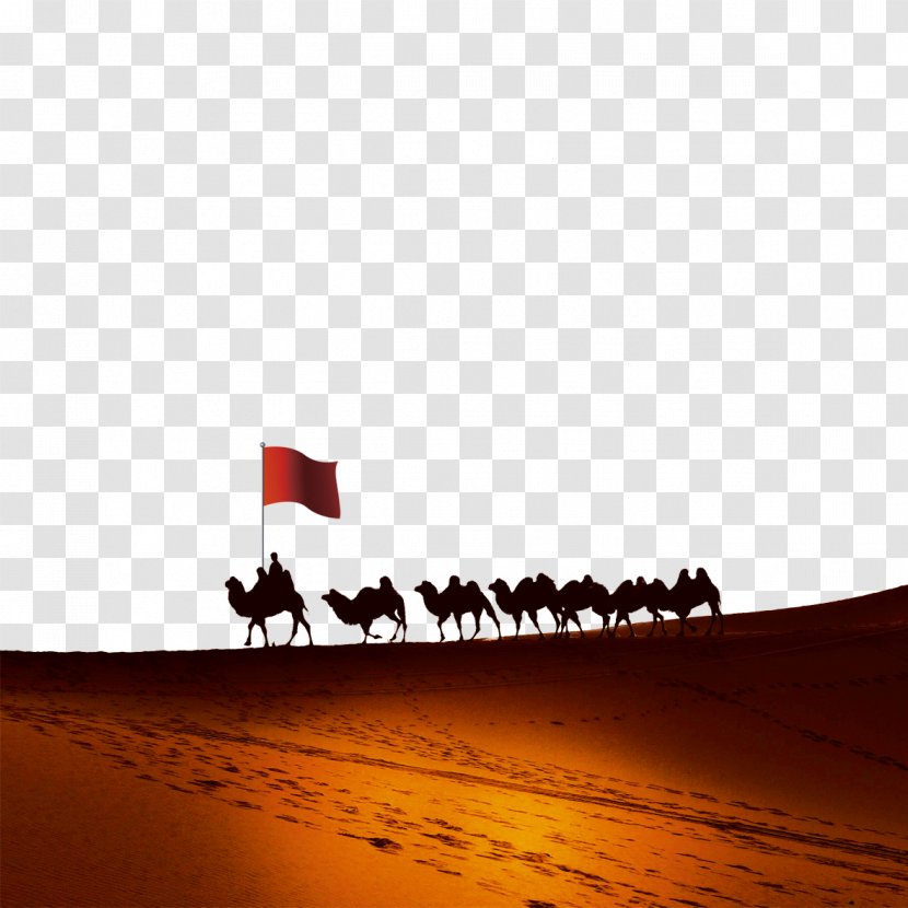 Sahara Djanet Desert Camel Azjar - March Transparent PNG