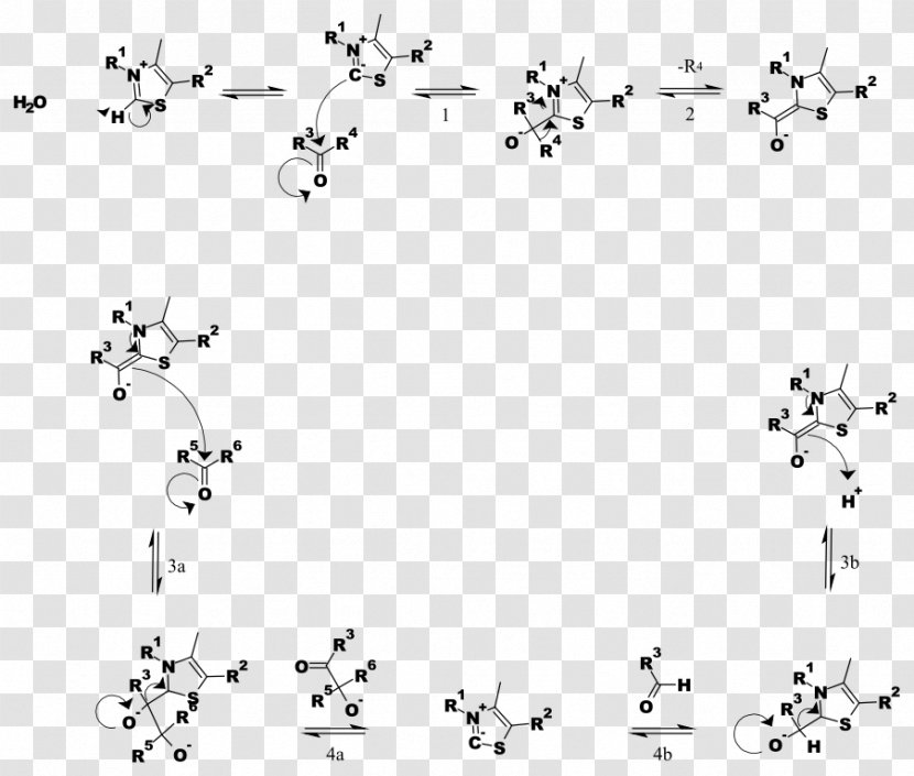 Thiamine Pyrophosphate Transketolase Reaction Mechanism Chemical Chemistry - Black And White - Common Berthing Transparent PNG