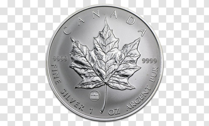 Canada Canadian Gold Maple Leaf Silver Transparent PNG