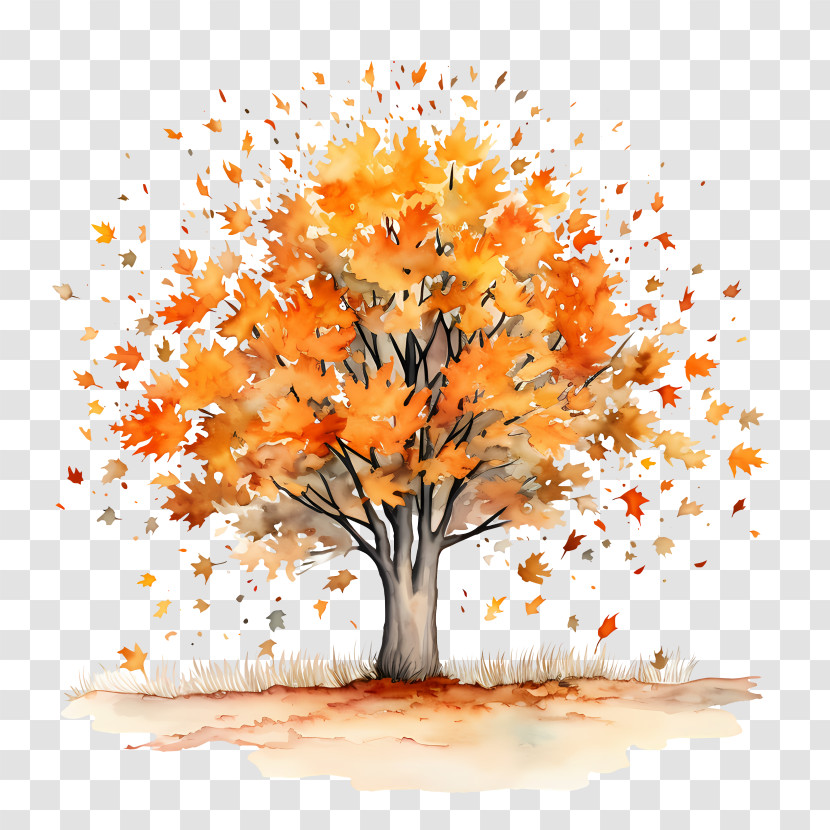 Autumn Tree - Beautiful Autumn Tree Transparent PNG