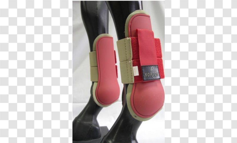 Clothing Accessories Norton AntiVirus Shoe Hook-and-loop Fastener - Antivirus - Tendon Transparent PNG