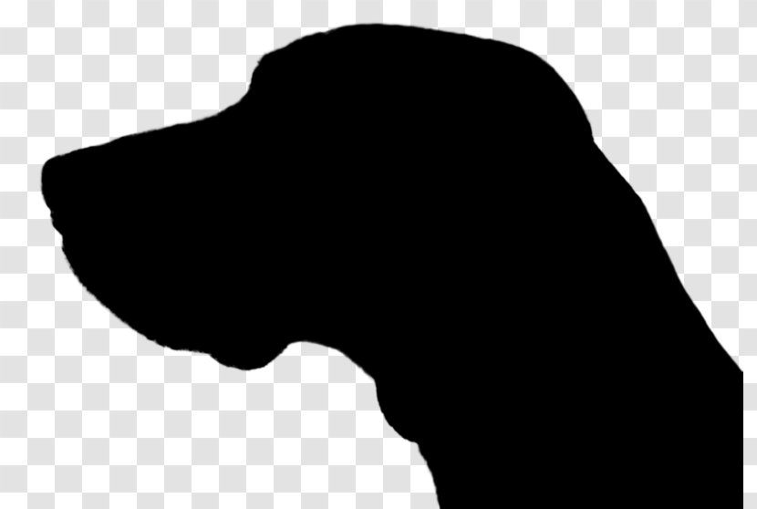 Dog Canidae Nose Mammal Silhouette - Head Transparent PNG