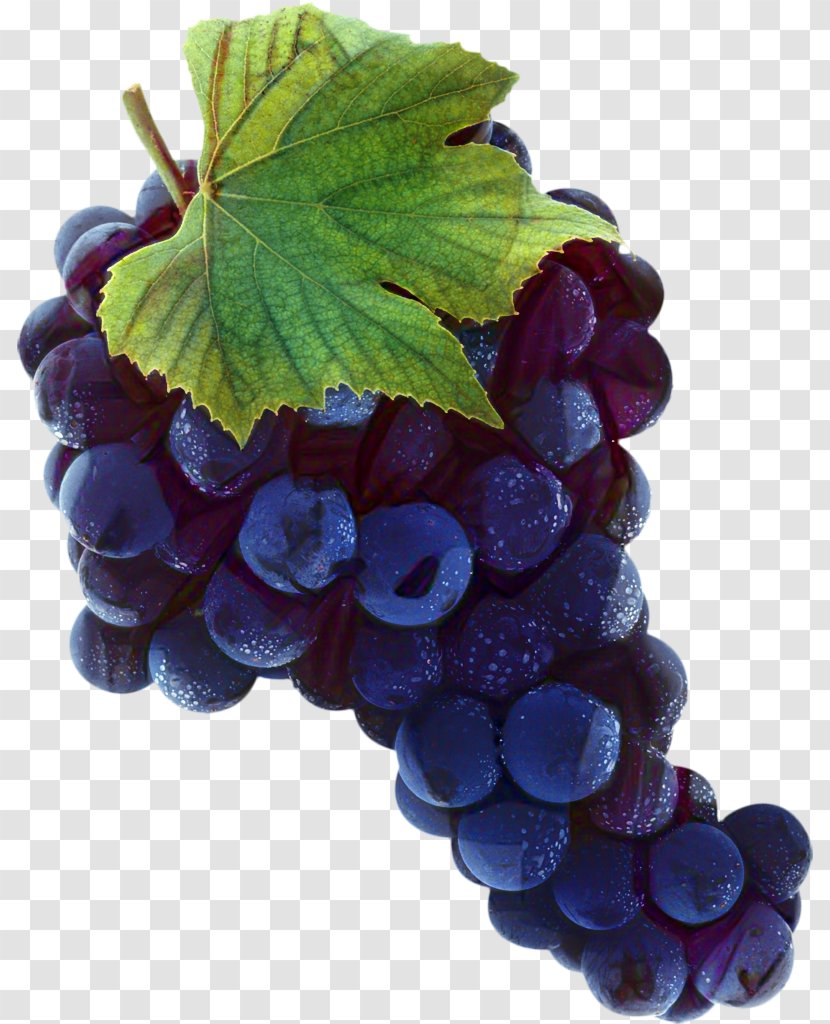 Leaves Background - Berry - Snack Grape Seed Extract Transparent PNG