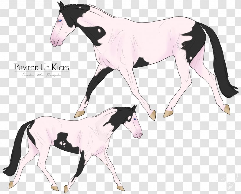 Mustang Foal Colt Stallion Mare - Horse Like Mammal Transparent PNG