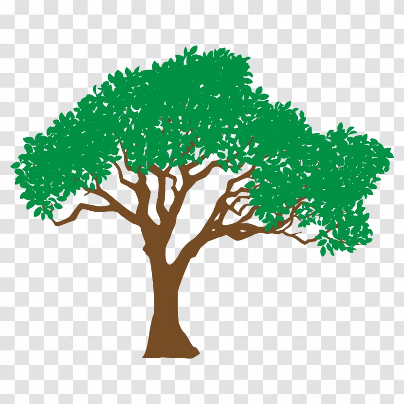 Arbor Day - Branch Leaf Transparent PNG