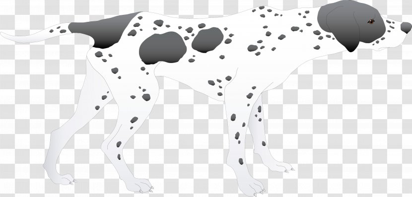 Dalmatian Dog Puppy Paw Canidae Clip Art - Cartoon Transparent PNG