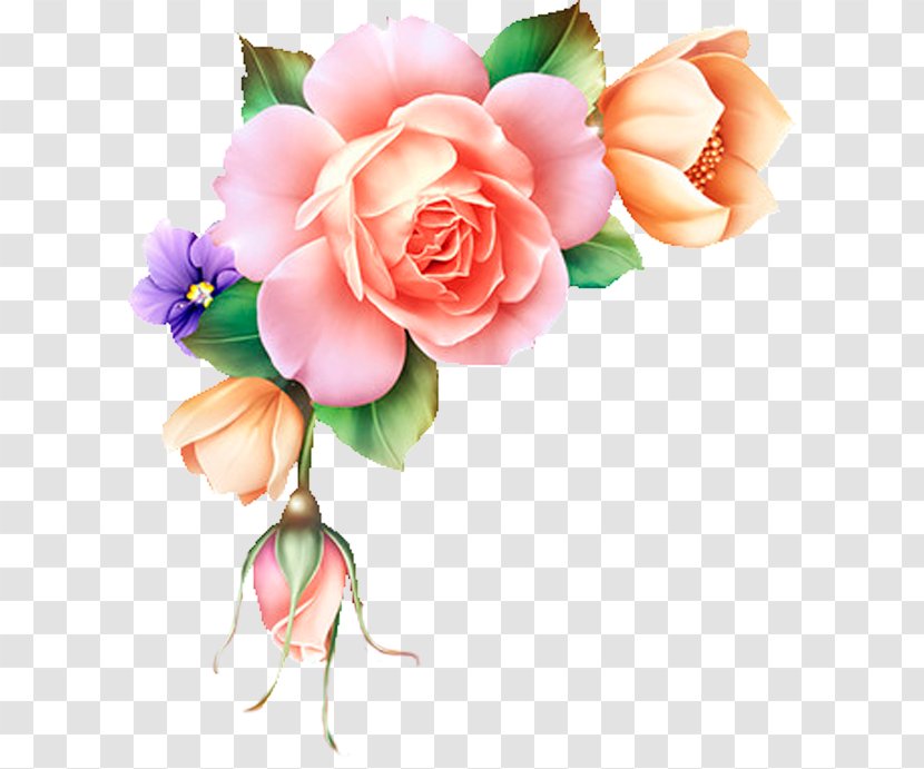 Floral Design Flower Art Watercolor Painting - Garden Roses Transparent PNG