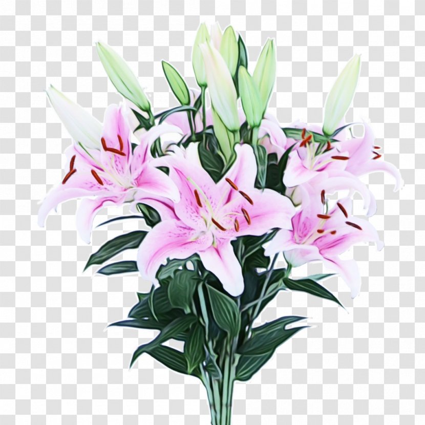 Watercolor Pink Flowers - Floral Design - Dendrobium Artificial Flower Transparent PNG