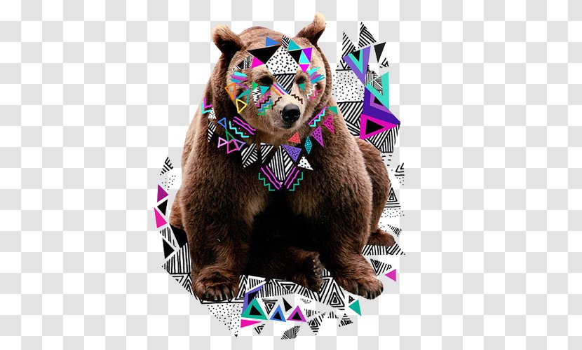 Art Graphic Design Illustration - Silhouette - Brown Bear Transparent PNG