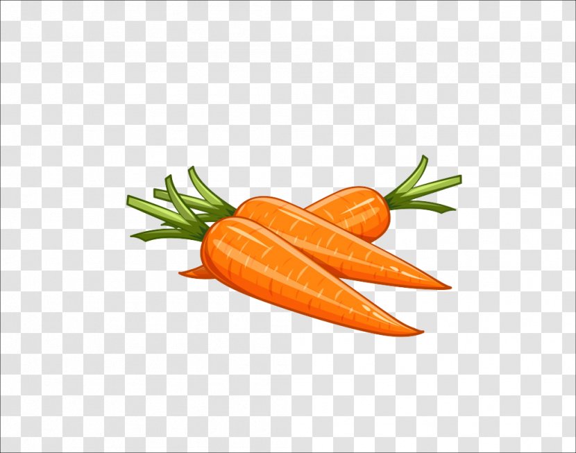 Carrot Drawing Royalty-free Illustration - Fruit - Hand-painted Transparent PNG