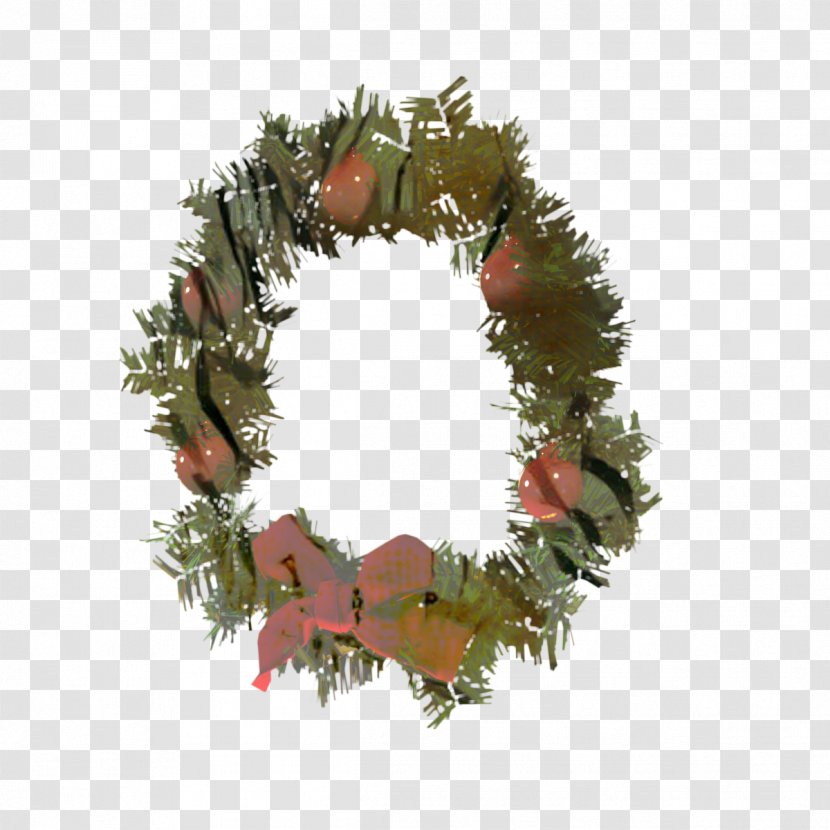 Family Tree Design - Wreath - Conifer Pine Transparent PNG
