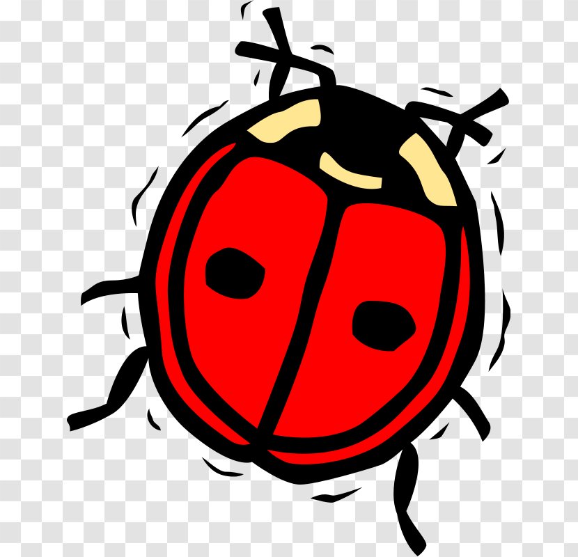 Ladybird Beetle Insect Clip Art Transparent PNG