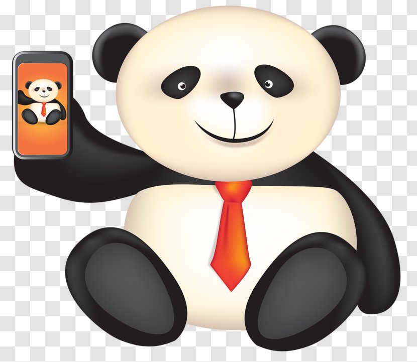 Giant Panda Red Bear Cartoon - Frame - Cute Transparent PNG